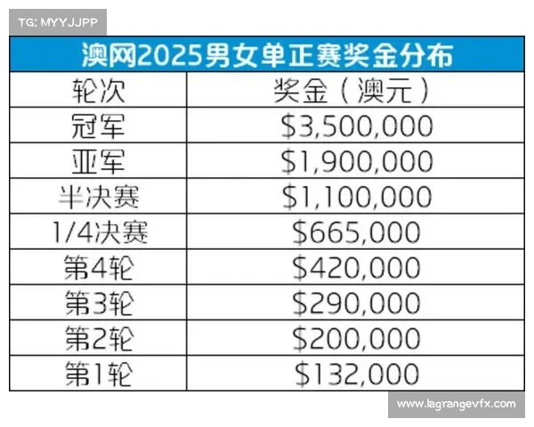网球赛事奖金分配机制解析及各大赛事奖金对比分析